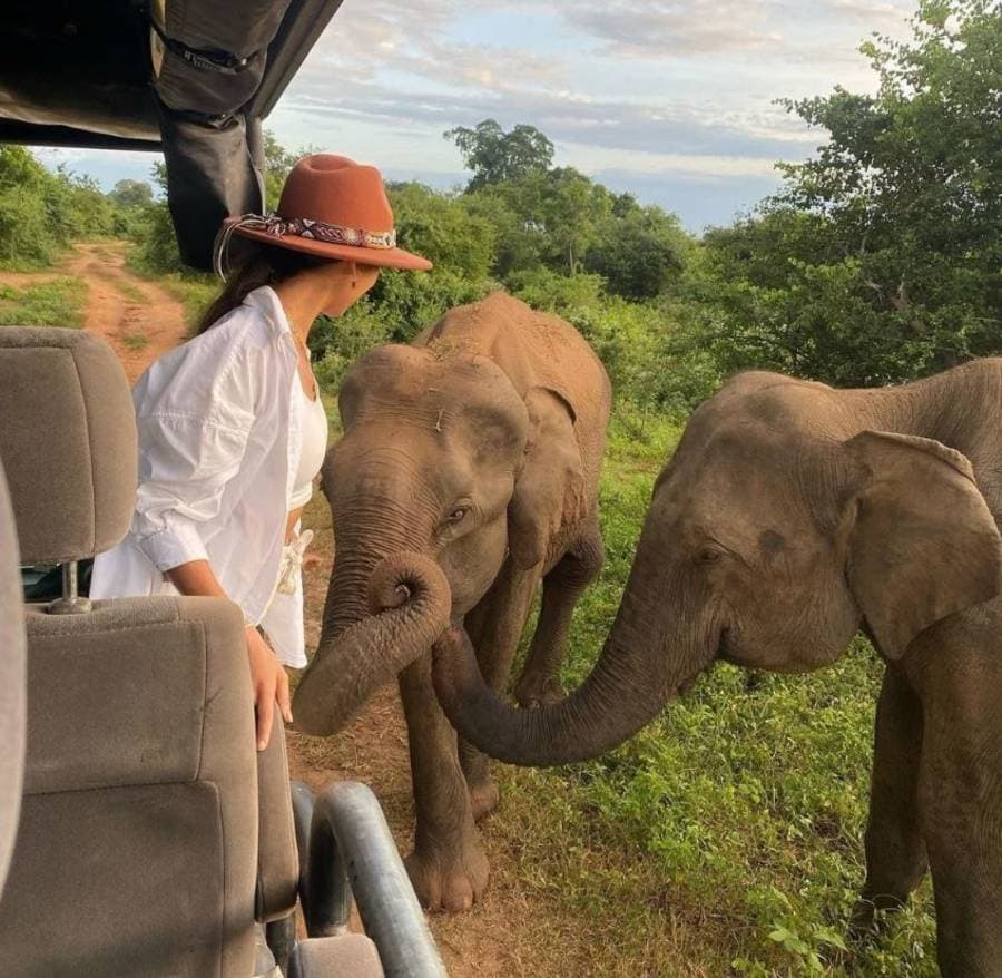 Wild elephant sighting in Sri Lanka national park